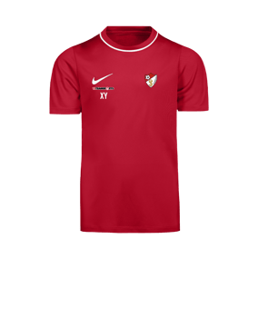 Nike Park 26 Trainingsshirt Kids Rot F657