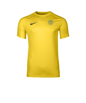 Nike Park VIII Trikot Gelb F719