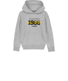 Merch Mini Cruiser 2.0 Hoody Kids H. Grey | #established