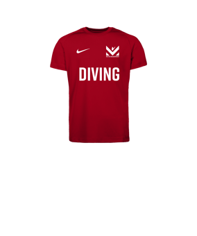 Nike Park VIII Trikot Kids Rot F657