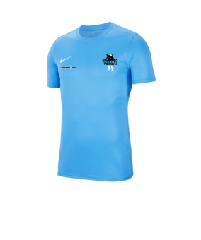 Nike Park VII Trikot kurzarm Blau F412
