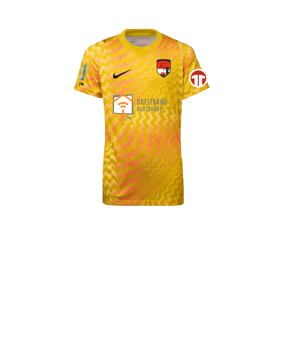 Nike Gardien VI Torwarttrikot Kids Gelb F718
