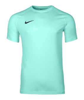 Nike Park VIII Trikot Türkis F354 - tuerkis
