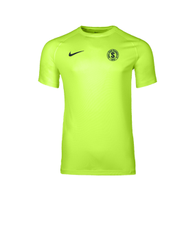 Nike Park VIII Trikot Grün F702
