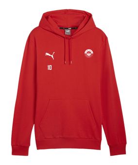 PUMA teamGOAL Casuals Hoody Rot F01