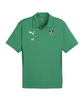 PUMA teamGOAL Poloshirt Grün F05