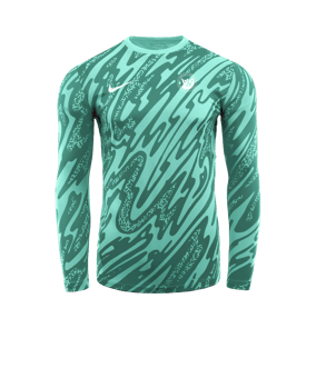 Nike Gardien V Torwarttrikot langarm Türkis F354