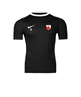 Nike Academy Pro 24 Trainingsshirt Schwarz F010