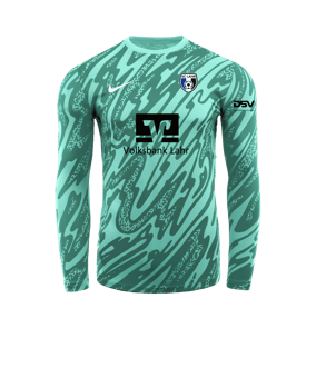 Nike Gardien V Torwarttrikot langarm Türkis F354