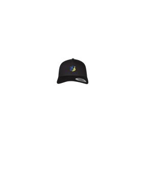 Merch 5 Panel Retro Trucker Cap Schwarz