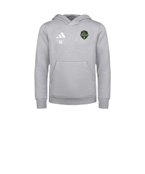 adidas Entrada 26 Sweatshirt à capuche Enfants Gris