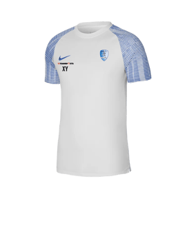 Nike Academy Trikot Weiss Blau F102
