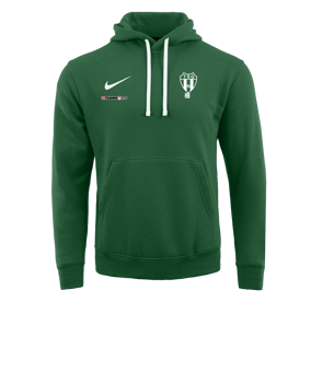 Nike Park 20 Fleece Hoody Grün Weiss F302