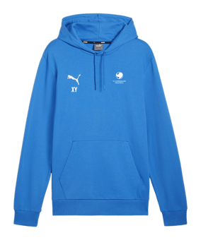 PUMA teamGOAL Casuals Hoody Blau F02