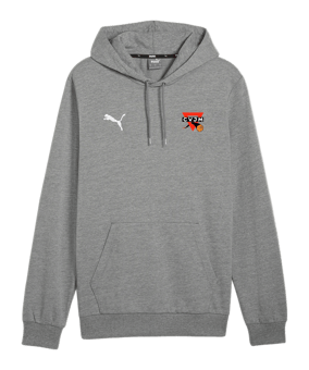 PUMA teamGOAL Casuals Hoody Grau F33