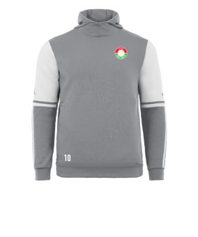 adidas Squadra 25 Hoody Grau