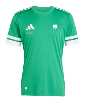 adidas Squadra 25 Trikot Grün