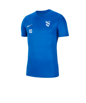 Nike Park VII Trikot kurzarm Blau F463