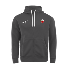 Veste à capuche Nike Park 20 Fleece grise F071 