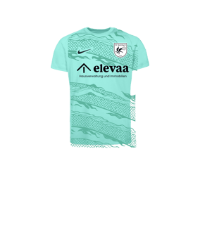 Nike Park VIII Trikot Kids Türkis F354