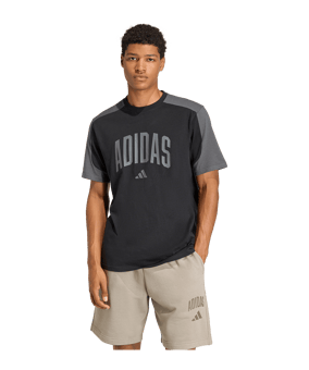 adidas Collegiate T-Shirt Schwarz - schwarz