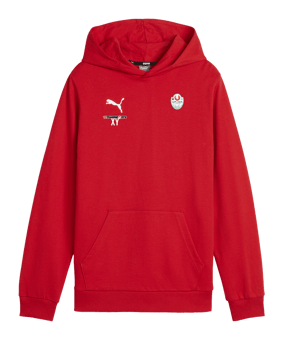 PUMA teamGOAL Casuals Hoody Kids Rot F01