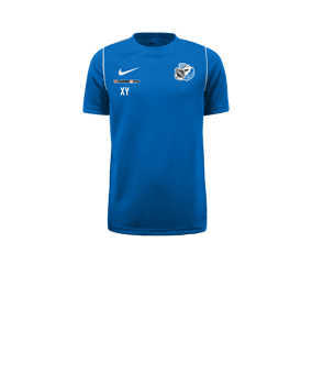 Nike Park 20 T-Shirt Kids Blau F463