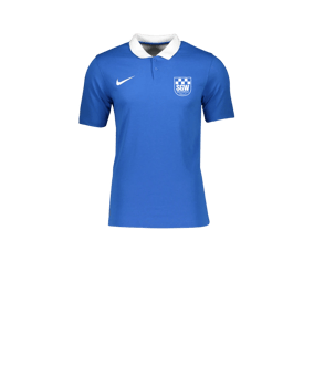 Nike Park 20 Poloshirt Kids Blau Weiss F463