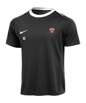 Nike Academy Pro 24 Trainingsshirt Kids F010