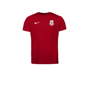 Nike Park VIII Camiseta Kids Rojo C657 