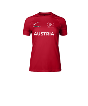 Nike Park VIII Trikot Damen Rot F657