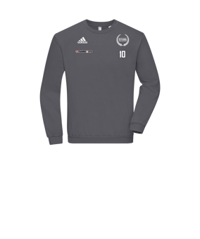 adidas Entrada 22 Sweatshirt Kids Grau