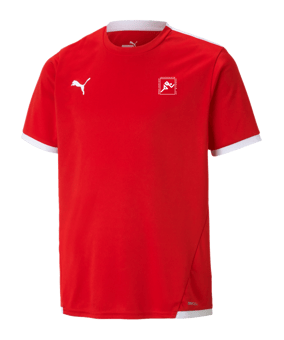 PUMA teamLIGA Trikot Kids Rot F01