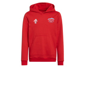 Sweat à capuche enfant adidas Entrada 22 Rouge 