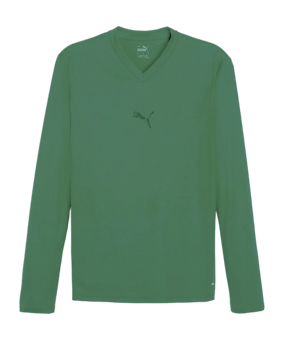 PUMA teamGOAL Baselayer Longsleeve Grün F05 - gruen