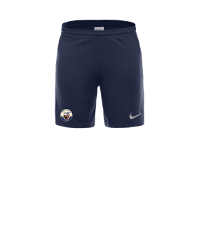 Nike Park III Court Bleu C410 