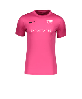 Nike Park VII Trikot kurzarm Pink F616