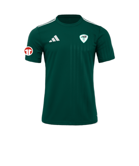 adidas Campeon 25 Trikot Grün