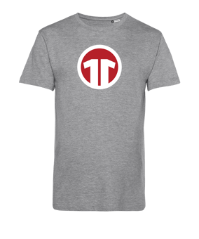 11teamsports Logo T-Shirt Grau - grau