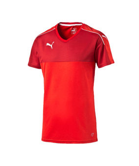PUMA Accuracy Trikot kurzarm Kids Rot Weiss F01 - rot