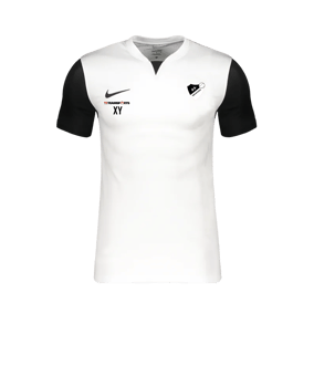 Nike Trophy V Trikot Weiss F100