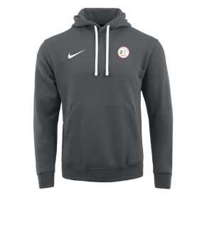 Sweat à capuche en polaire Nike Park 20 Gris blanc F071