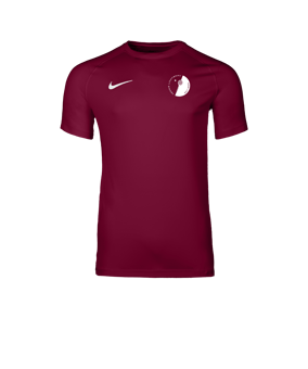 Nike Park VIII Trikot Rot F677