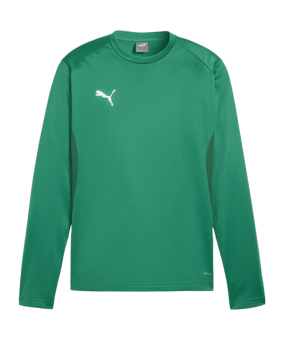 PUMA teamGOAL Training Sweatshirt Grün F05 - gruen