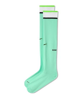 Nike NFF Nigeria Strumpfstutzen WM 2026 Grün F353 - gruen