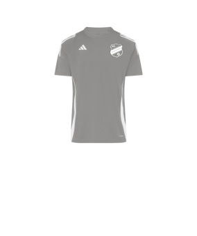 adidas Tiro 24 Trikot Kids Grau Weiss