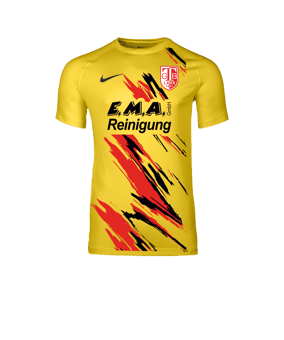 Nike Park VIII Trikot Gelb F719
