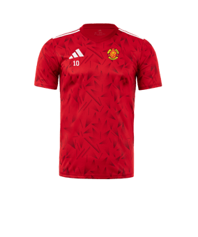 Maillot adidas équipe Icon 25 rouge 