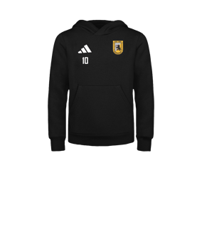 adidas Entrada 26 Hoody Kids Schwarz