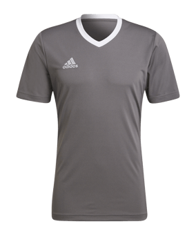 adidas Entrada 22 Trikot Grau Weiss - grau
